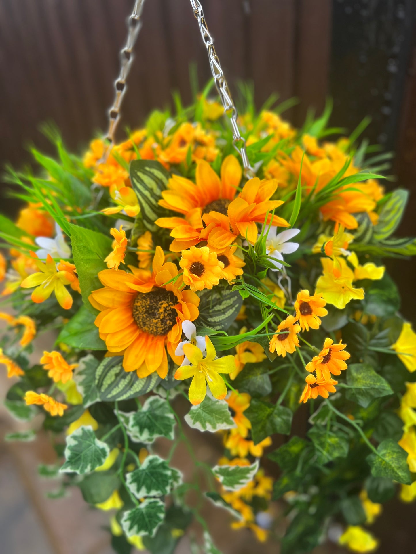 DELUXE XL HANGING BASKET SUNFLOWER MIX 12 INCH CONE